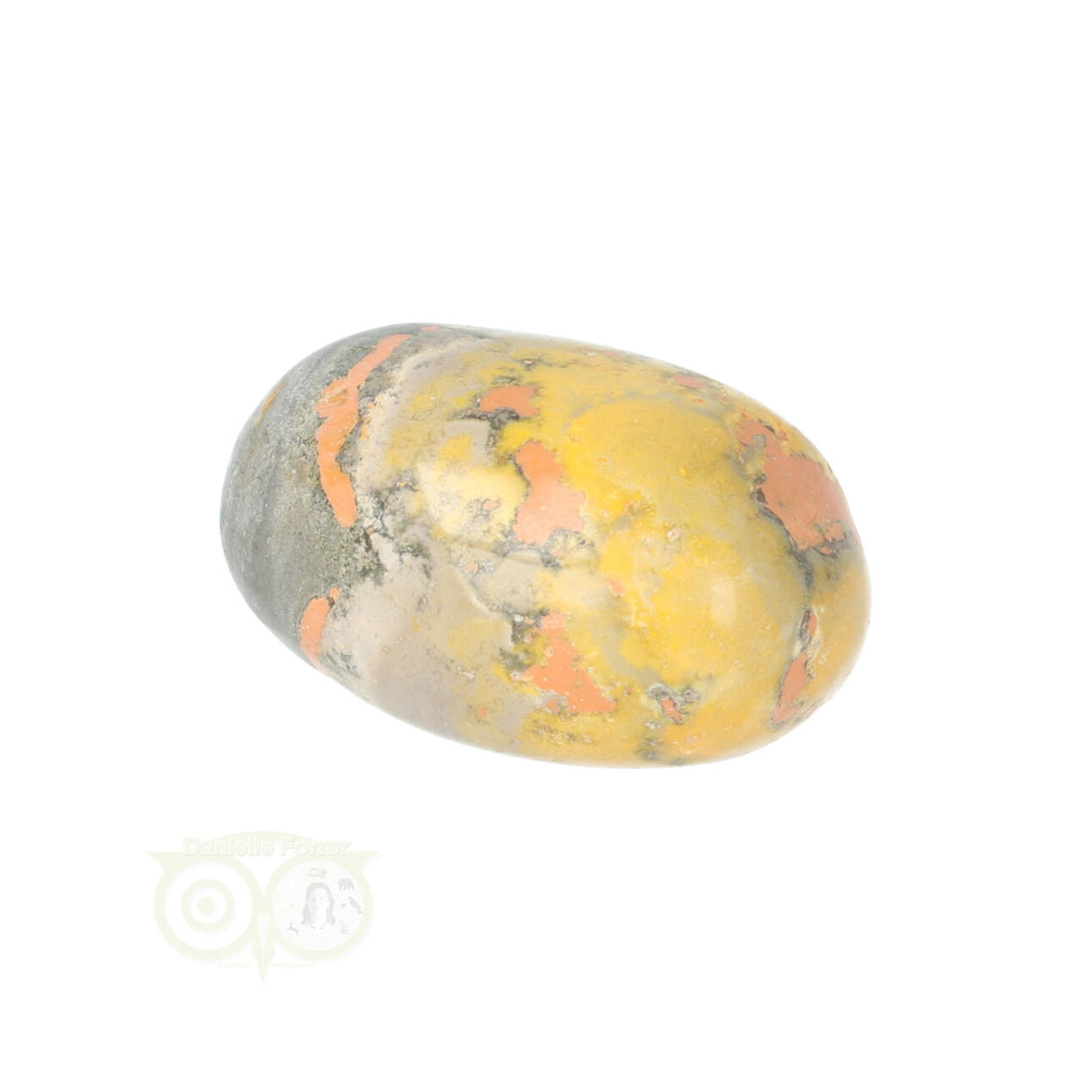 Bumble Bee Jaspis trommelsteen Nr 8