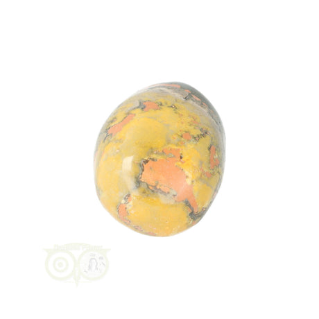 Bumble Bee Jasper tumbled stone No. 8