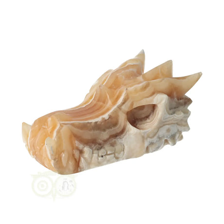 Oranje calciet draak schedel 290 gram met warme kleur en glans