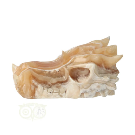 Calciet kristallen draken schedel 290 gram unieke carving