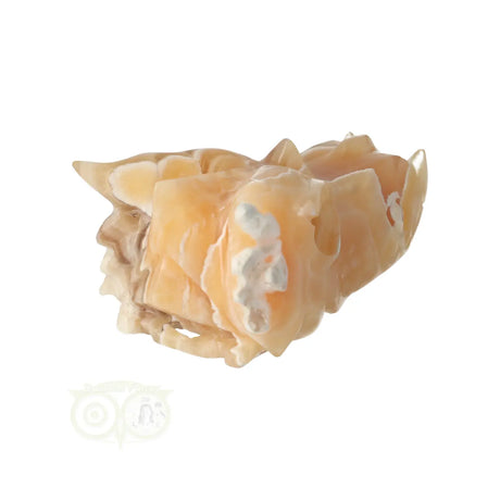Draken schedel van oranje calciet 290 gram met natuurlijke tekening