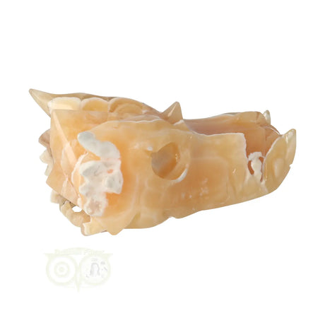 Edelstenen draak schedel calciet 290 gram met levendige kleur