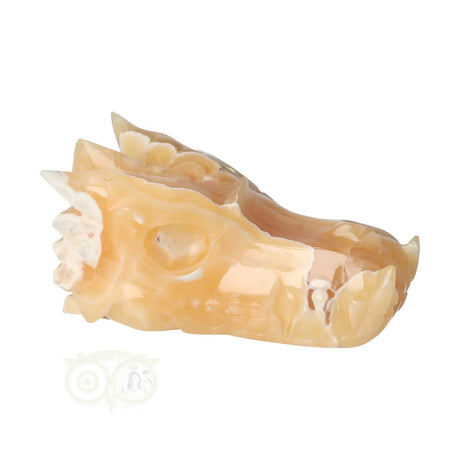 Calciet draken schedel 290 gram met oranje tinten en structuur