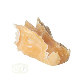 Oranje calciet draken schedel 290 gram kristallen draak carving