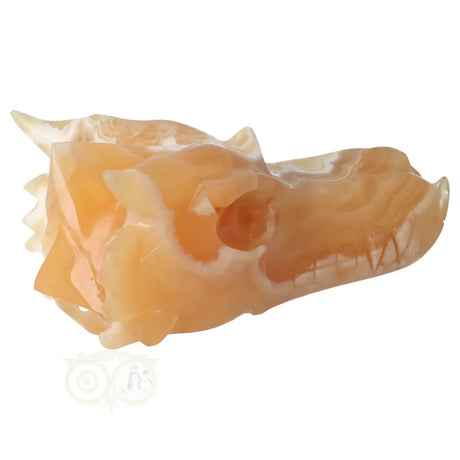 calciet carving draak schedel decoratie
