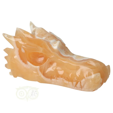 edelstenen schedel draak calciet