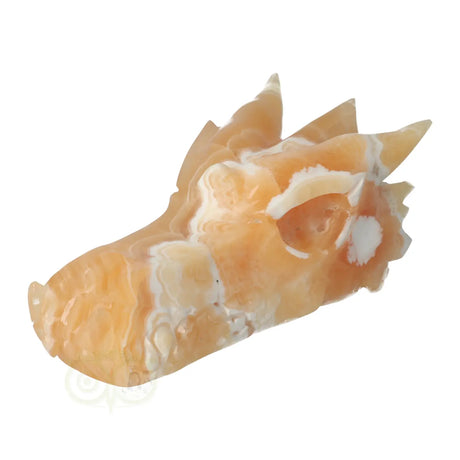 calciet schedel draak 563 gram