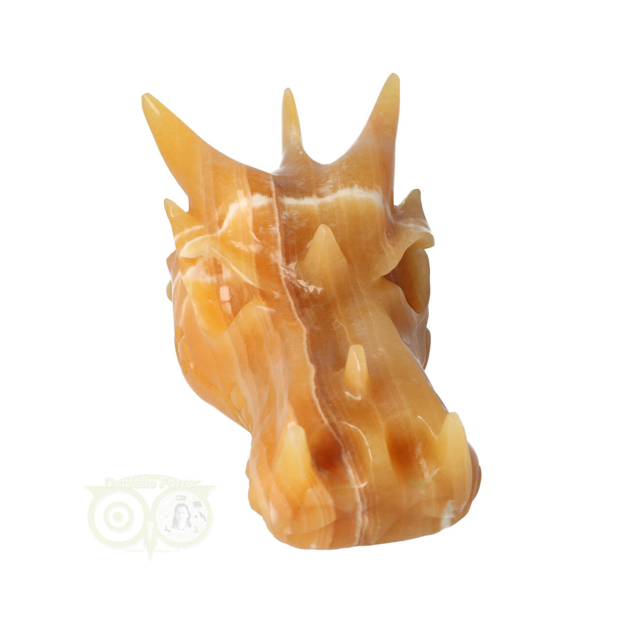 Calciet draken schedel 619 gram