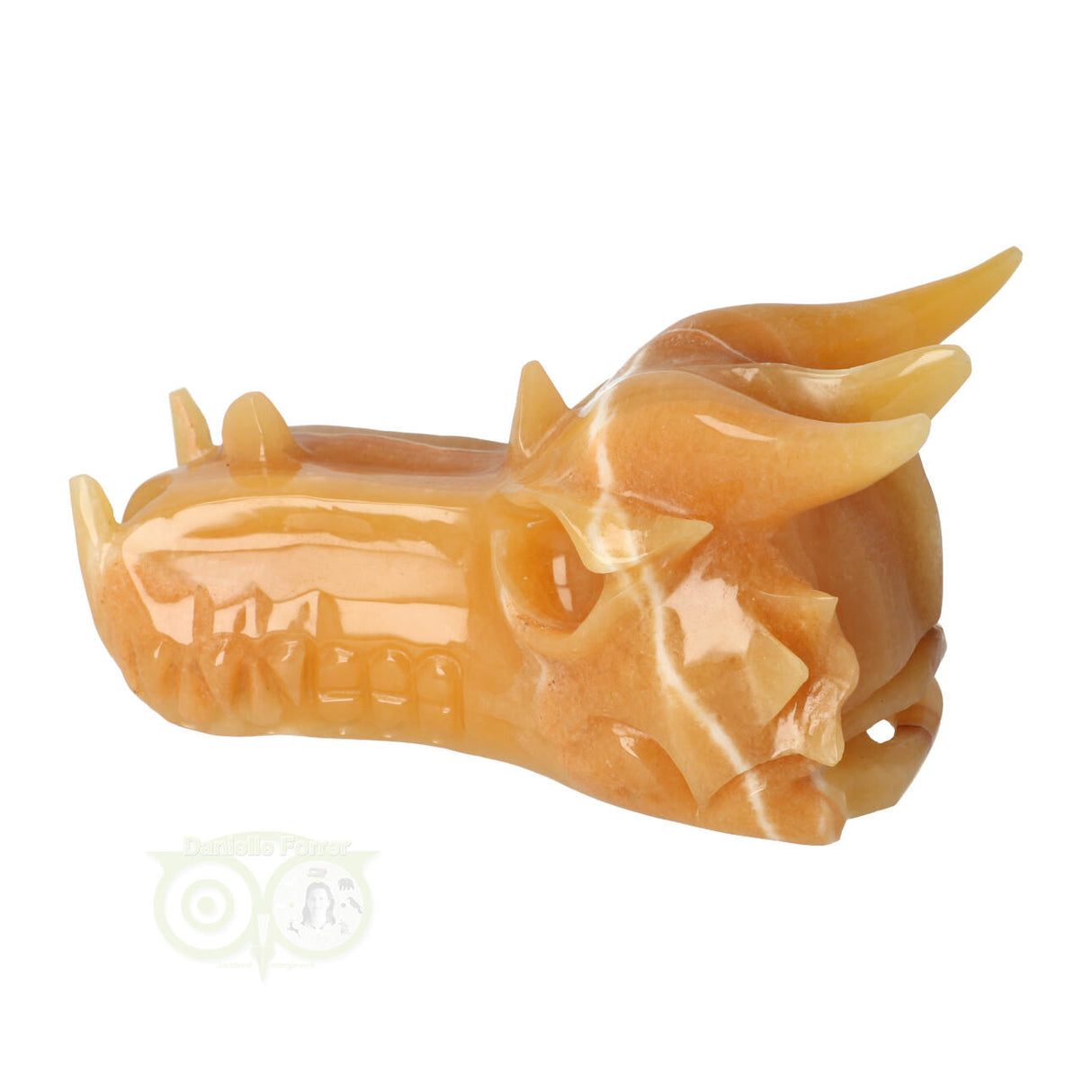 Calciet draken schedel 619 gram