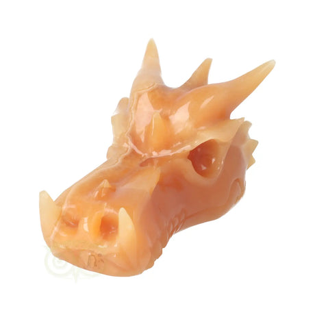 edelstenen draken schedel calciet xl