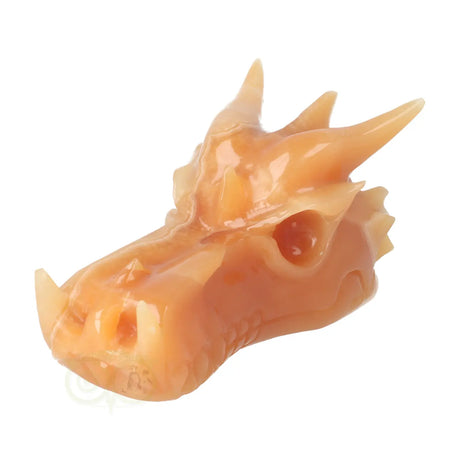calciet skull draak groot formaat