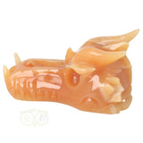 Calciet draken schedel 944 gram