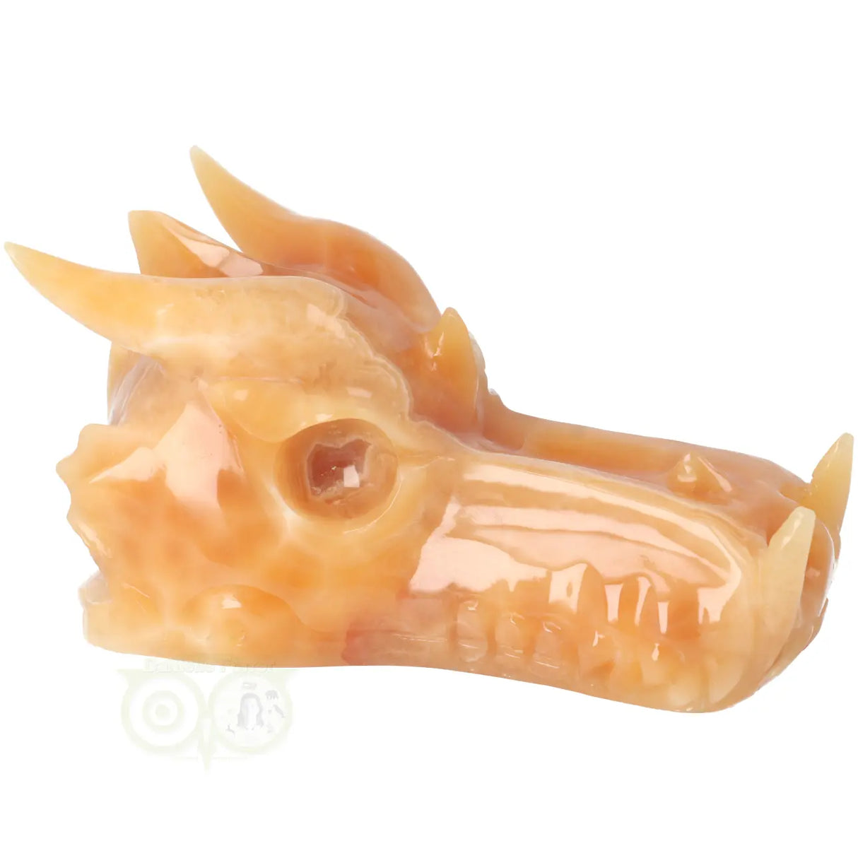 Calciet draken schedel 944 gram