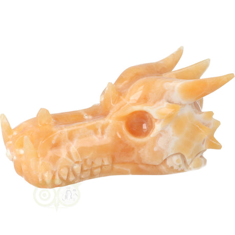 oranje calciet dragon skull uniek stuk