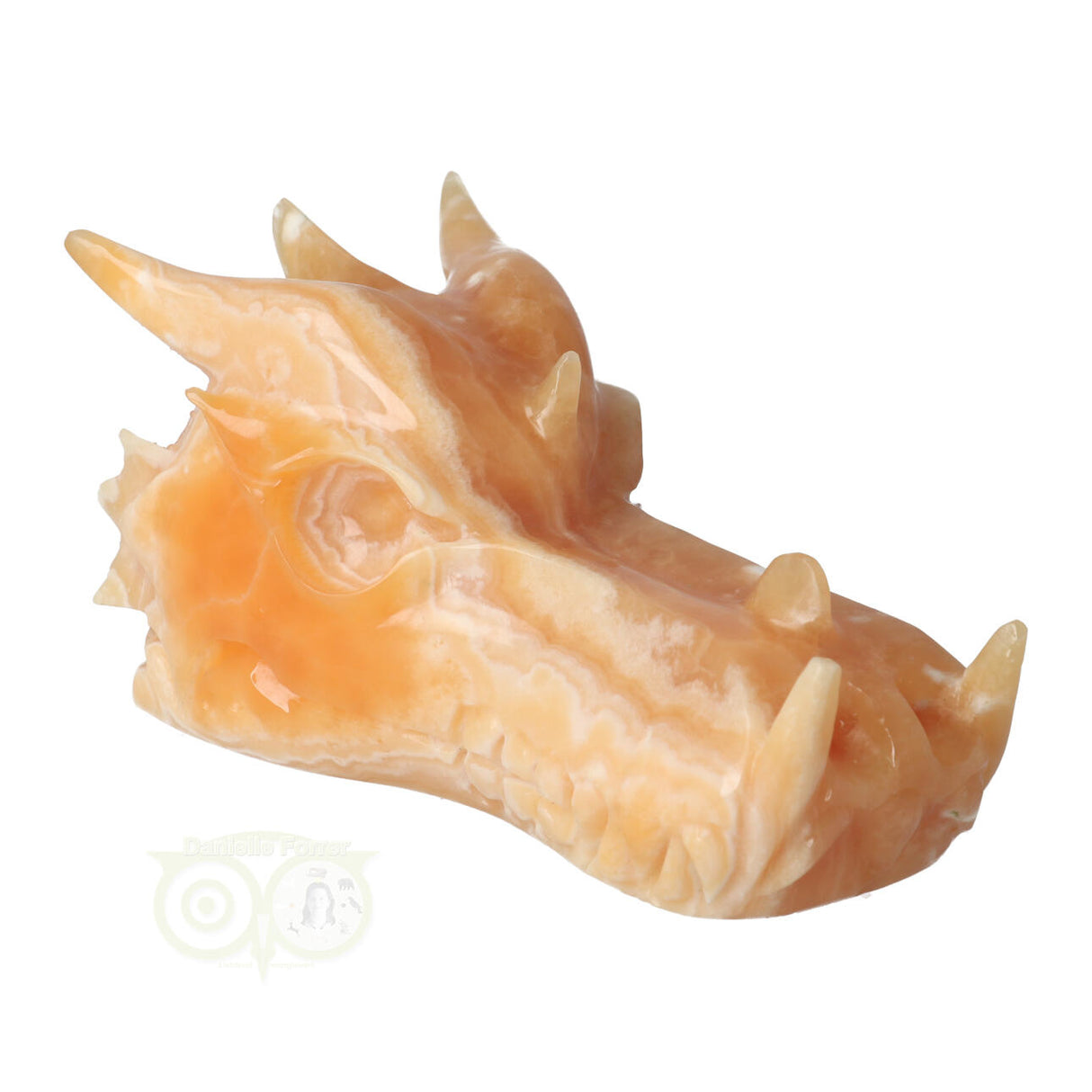 Calciet drakenschedel 957 gram