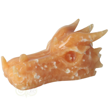 oranje calciet dragon skull uniek groot