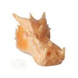 Calciet drakenschedel 957 gram