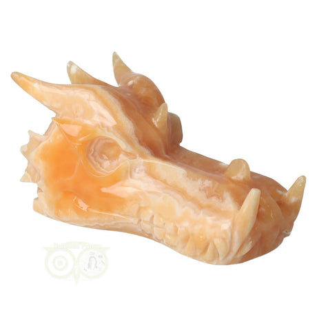 calciet edelstenen schedel draak