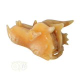 Calciet drakenschedel 782 gram