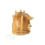 Calciet drakenschedel 782 gram