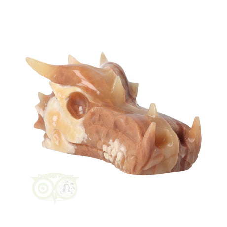 Calciet draken schedel 803 gram met kleurcontrast en structuur