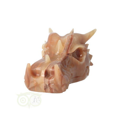 Calciet schedel draak 803 gram met donkere basis en licht accent