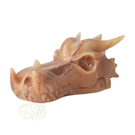 Calciet drakenschedel 803 gram met natuurlijke kleurvariatie