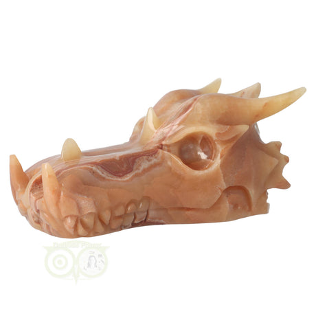 Calciet draak 803 gram met donker en geel kleurverschil