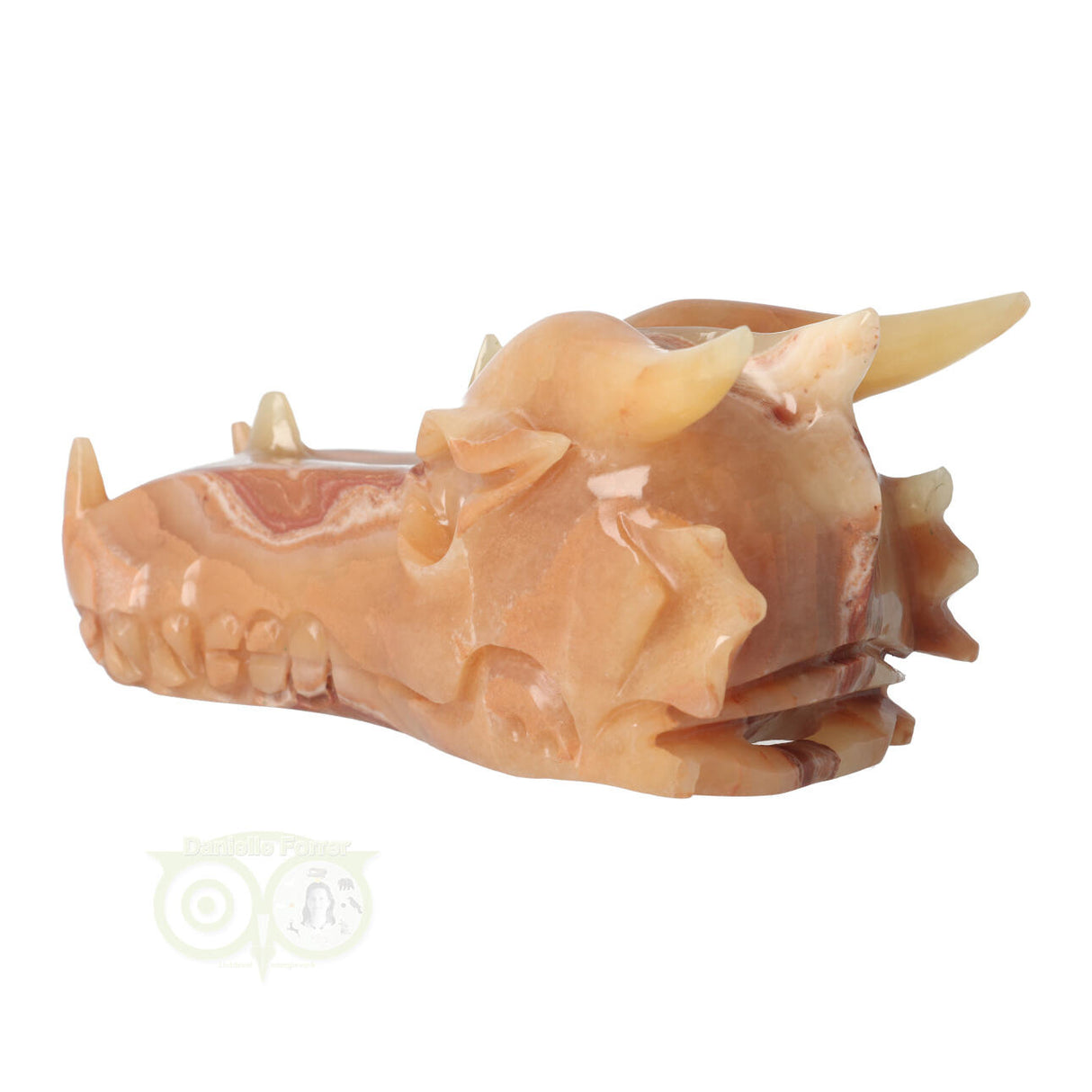 Calciet drakenschedel 803 gram