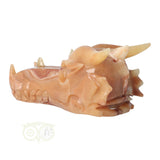 Calciet drakenschedel 803 gram