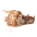 Calciet drakenschedel 803 gram