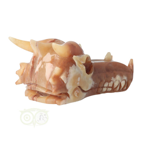 Calciet drakenschedel 803 gram