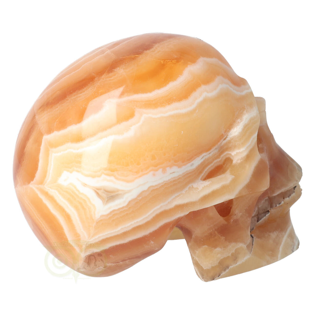 Calciet schedel 1 Kg