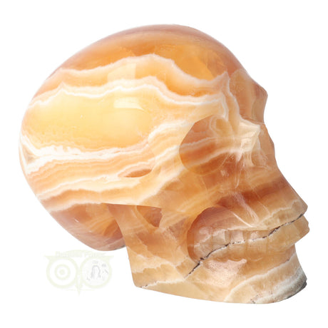 Calciet schedel 1 Kg