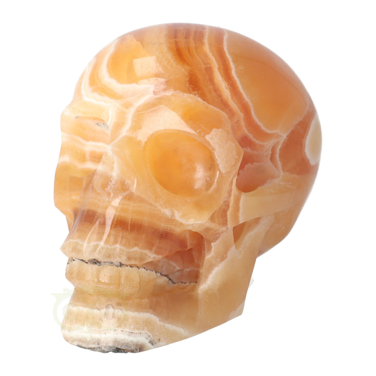 Calciet schedel 1 Kg