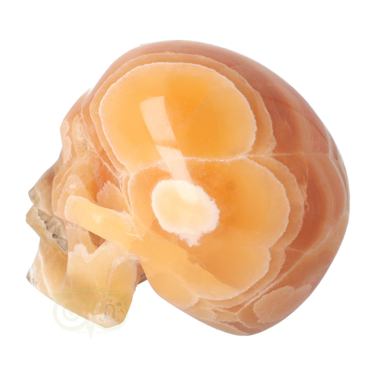 Calciet schedel 1 Kg