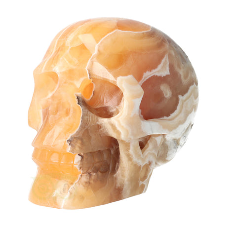 Orange Calcite Skull No. 270 – 1759 grams | Gemstone Skull