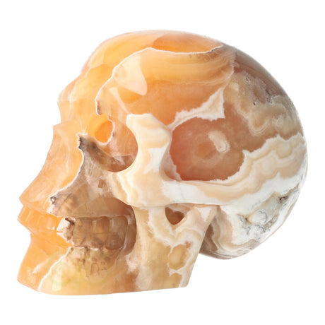 Orange Calcite Skull No. 270 – 1759 grams | Gemstone Skull