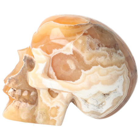 Orange Calcite Skull No. 270 – 1759 grams | Gemstone Skull