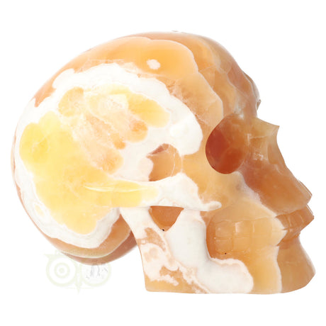 Orange Calcite Skull No. 270 – 1759 grams | Gemstone Skull