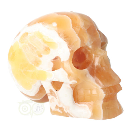 Orange Calcite Skull No. 270 – 1759 grams | Gemstone Skull