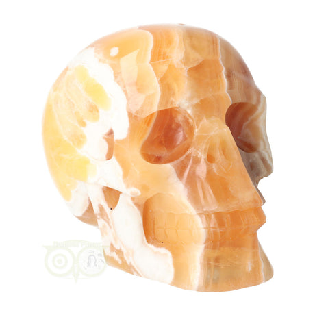 Orange Calcite Skull No. 270 – 1759 grams | Gemstone Skull