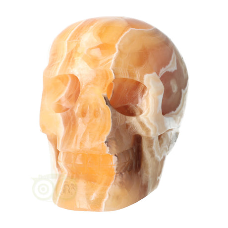 Orange Calcite Skull No. 270 – 1759 grams | Gemstone Skull