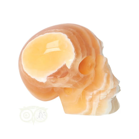 oranje gele calciet schedel detail