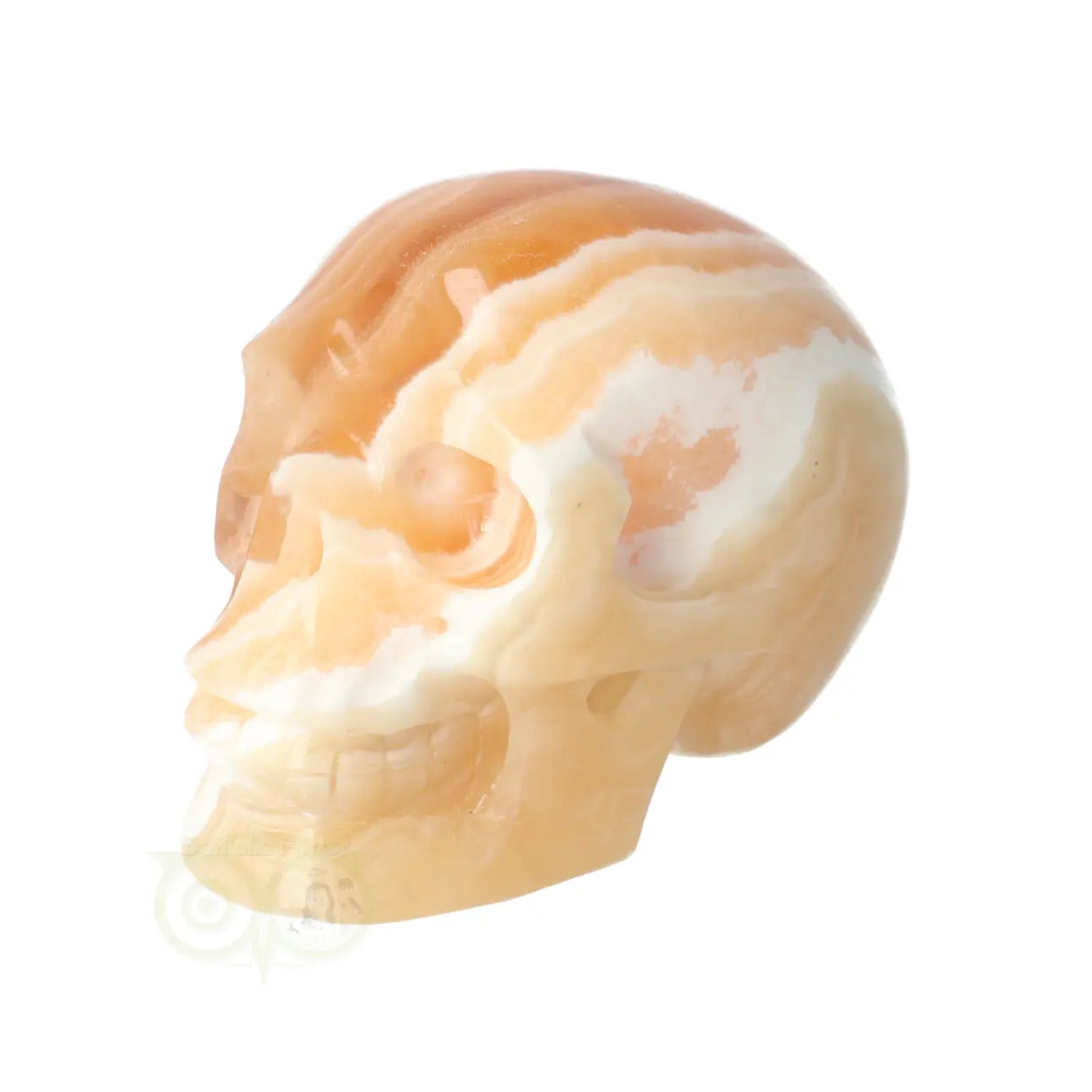 Calciet schedel 374 gram