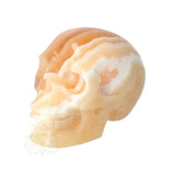 Calciet schedel 374 gram