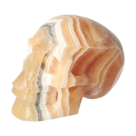 oranje calciet skull 636 gram