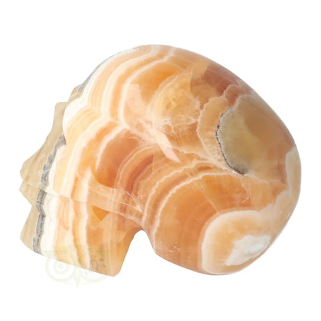 gele calciet schedel carving uniek