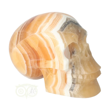 oranje gele calciet schedel detail