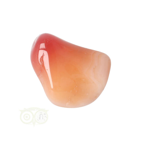 Carneool Botswana agaat knuffelsteen 25 gram – edelsteen met natuurlijke tekening
